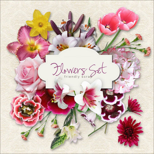 Скрап-набор "Цветы для тебя" - "Flowers set"