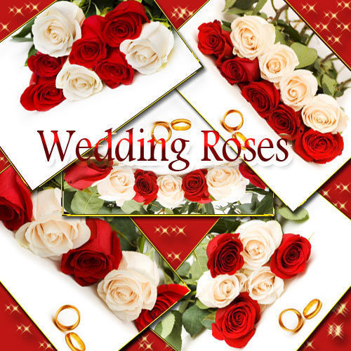 Сборка клипарта "Свадебные розы" - "Wedding Roses"