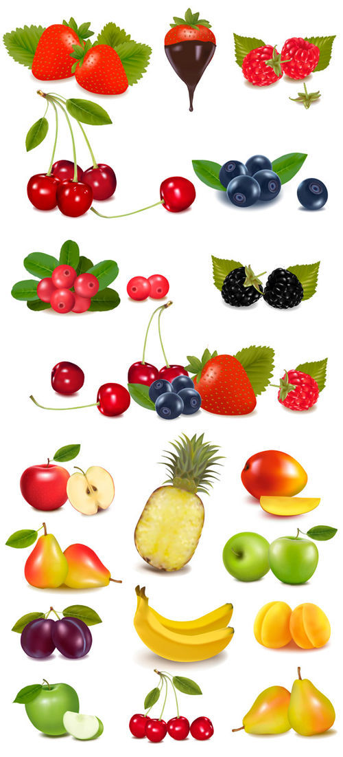 Ягоды и фрукты в векторе
