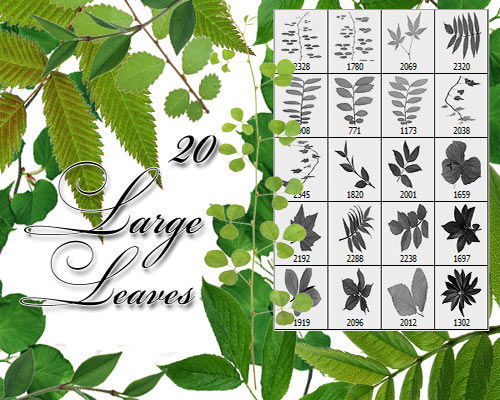 Brushes for Photoshop "20 Large leaves" - "Большие листья"