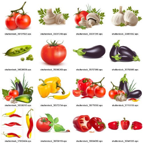 Vector clipart: Vegetables. Овощи в векторе