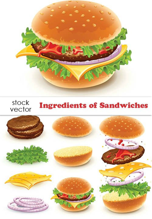 Vector clipart: Sandwiches and  Ingredients. Сэндвич и его ингредиенты в векторе