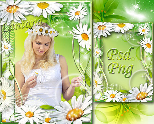 Летняя цветочная рамка для оформления фотографий "Погадаю на ромашке - любит милый или нет"