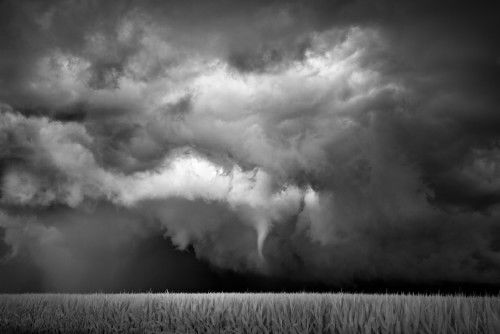 Черно-белые бури Митча Добраунера (Mitch Dobrowner)