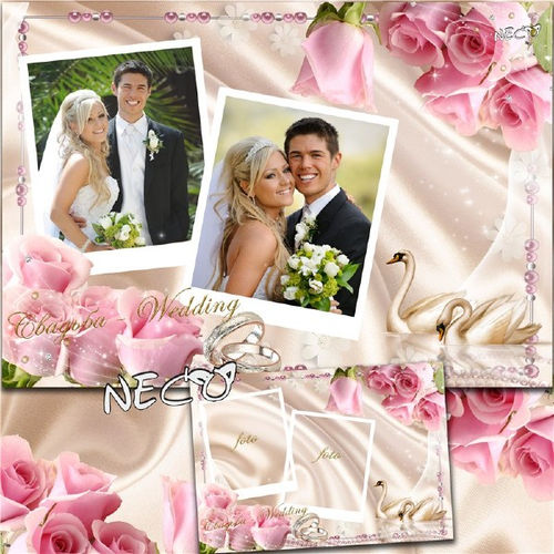 Изящная свадебная рамка для оформления фотографий с парой лебедей среди розовых роз на две фотографии