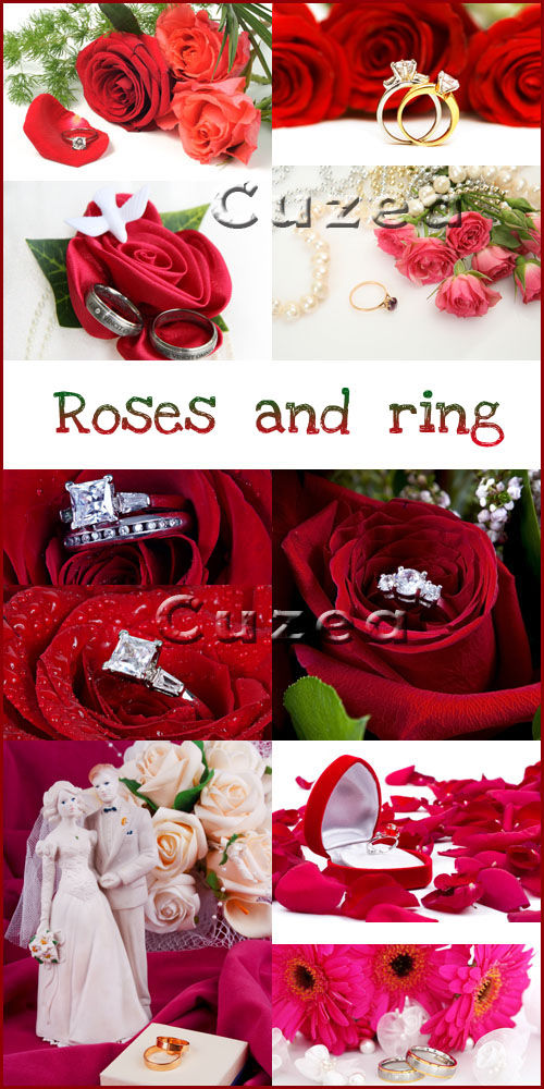 Коллекция высококачественного растрового клипарта "Розы и кольца"