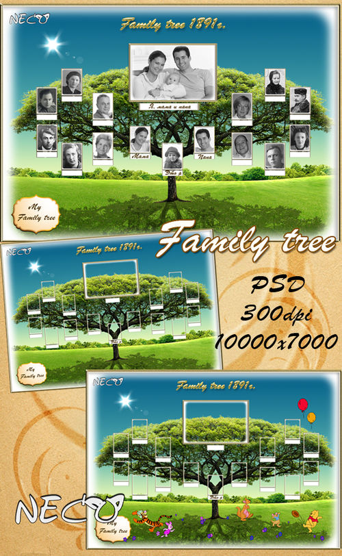 Шаблон "Генеалогическое (семейное) древо" - "Template a family tree" PSD