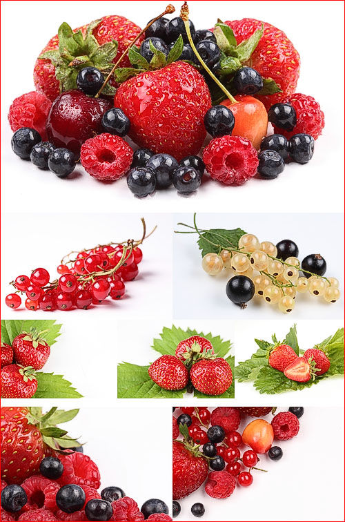 Photostock - Berries