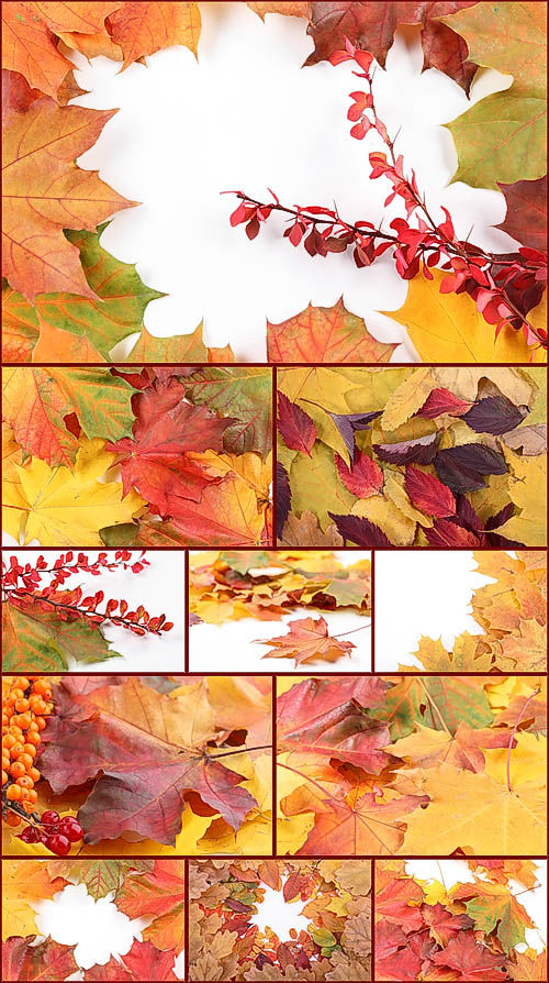 Растровый клипарт "Autumn Leaves"