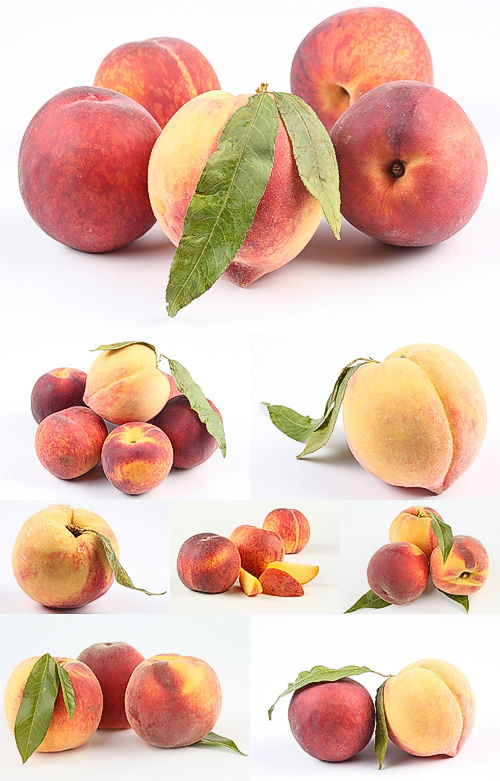 Photostock -  Peaches