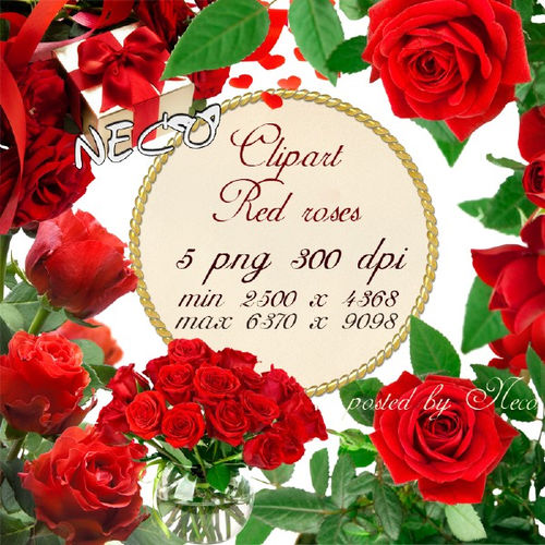 Clipart red roses 2 - Клипарт красные розы 2 