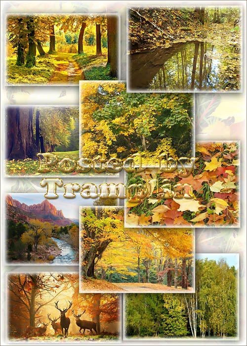 Осенние пейзажи "Кроет уж лист золотой влажную землю в лесу"