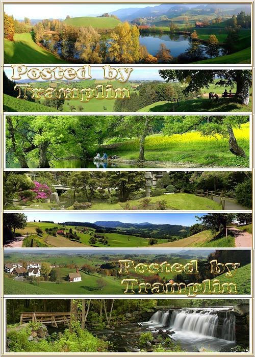 Набор панорамных фото – Леса, парки и травяное угодье. Мир зеленого цвета