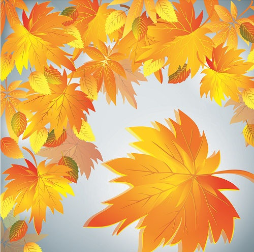 Векторный клипарт - Осенние листья - Autumn leaves vector backgrounds