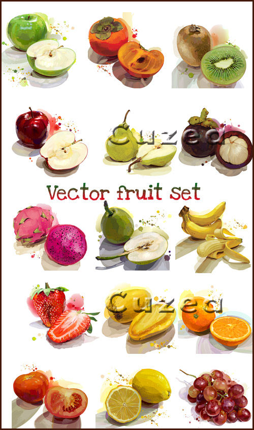 Векторный набор фруктов / Vector fruit set