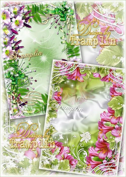 Цветочные рамки "Лилии - прекрасные цветы"