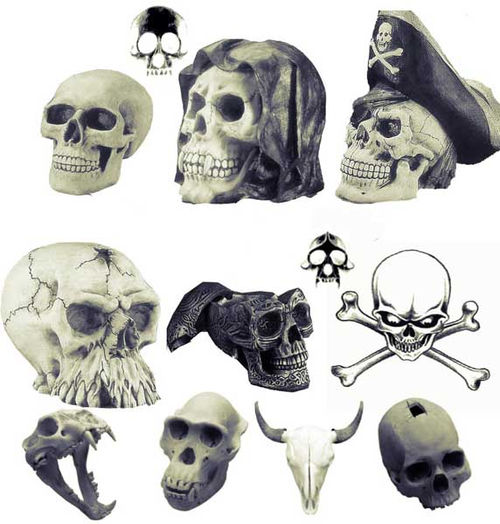 Кисти "Пиратские черепа"