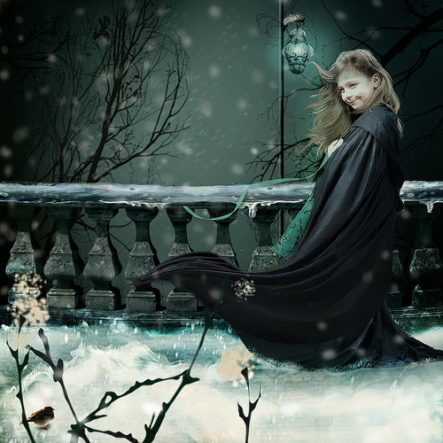 Скрап-набор Winter fairies