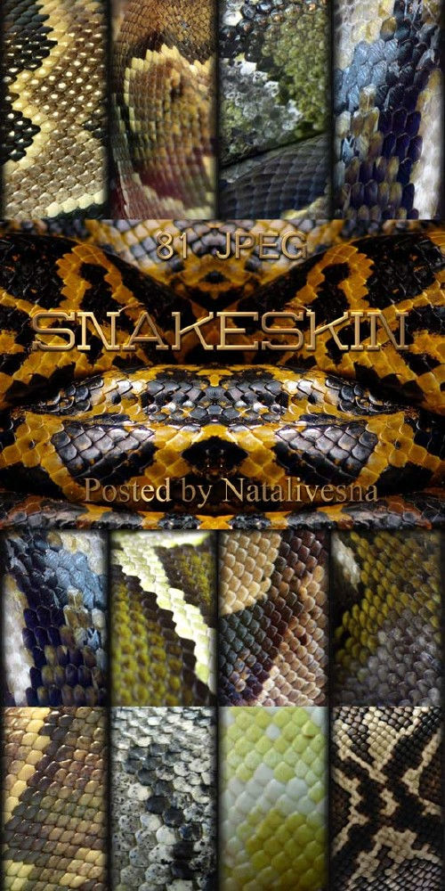 Текстуры для дизайна "Змеиная кожа"