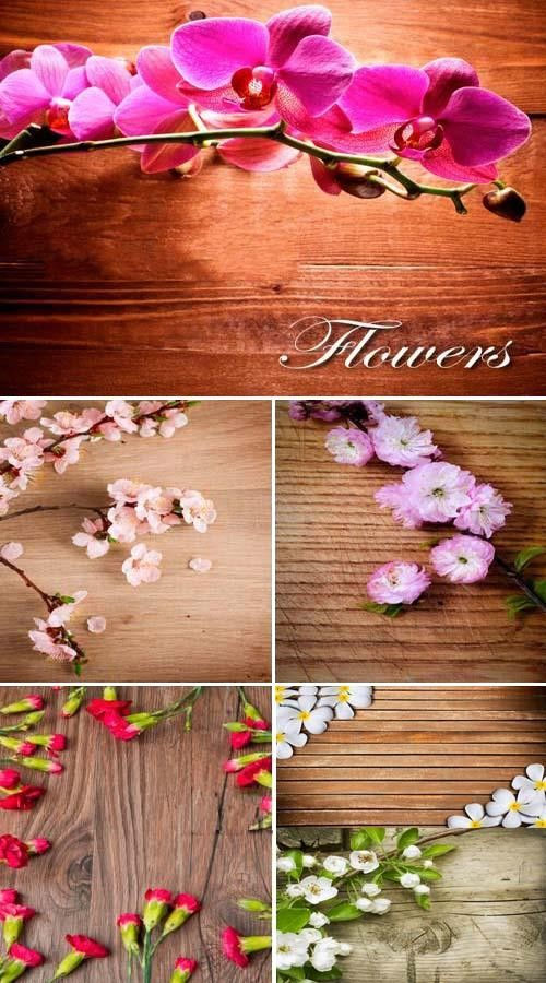 Фоны "Цветы на деревянной поверхности "