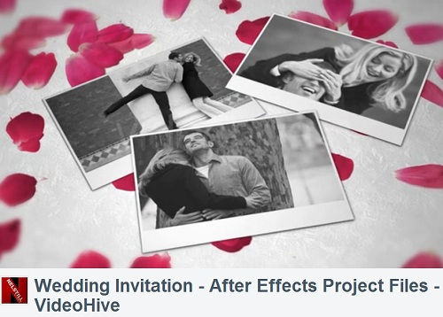 Videohive After Effects Project   Wedding Invitation