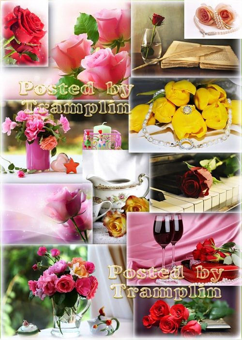 Сборник романтичных цветочных фонов "Розы"