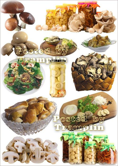 Грибы и Блюда из грибов - Клипарт на белом фоне