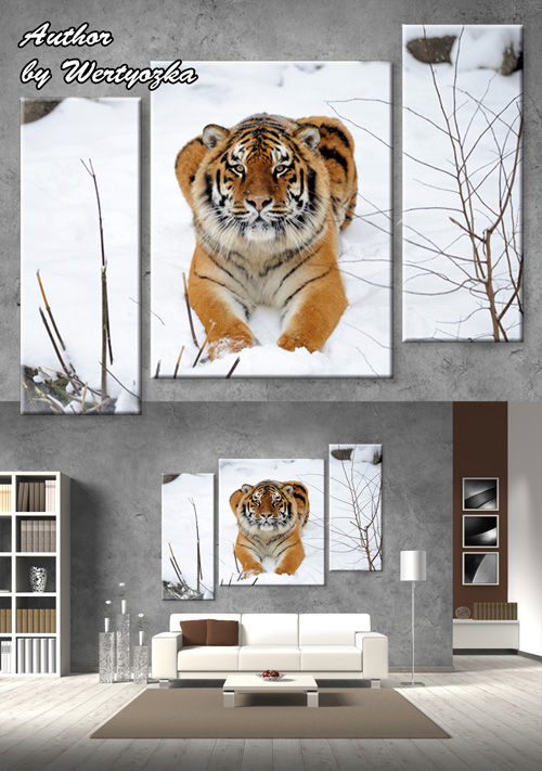 Красивая и стильная картина триптих с тигром лежащем на снегу  