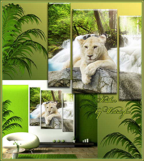 Модульная картина триптих с белым львом - Царь зверей 