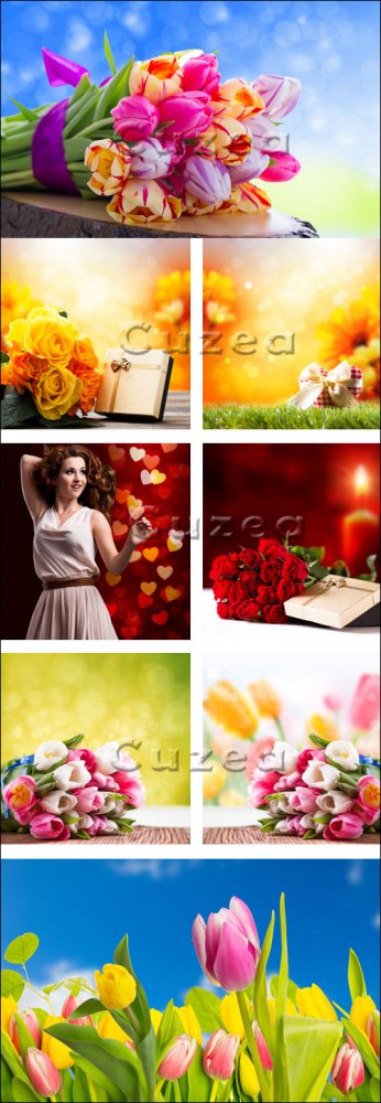 Цветы к праздникам/ Flowers for holidays - Stock photo