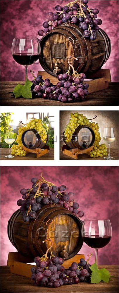 Красное и белое вино и виноградная лоза/ Wine bottle and wine glass - Stock photo