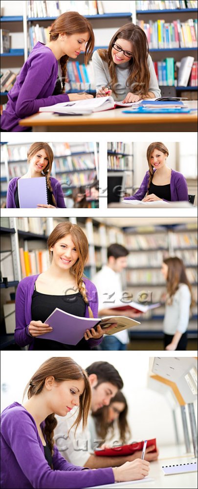 Девушки в библиотеке/ Young students studying in a library - Stock photo