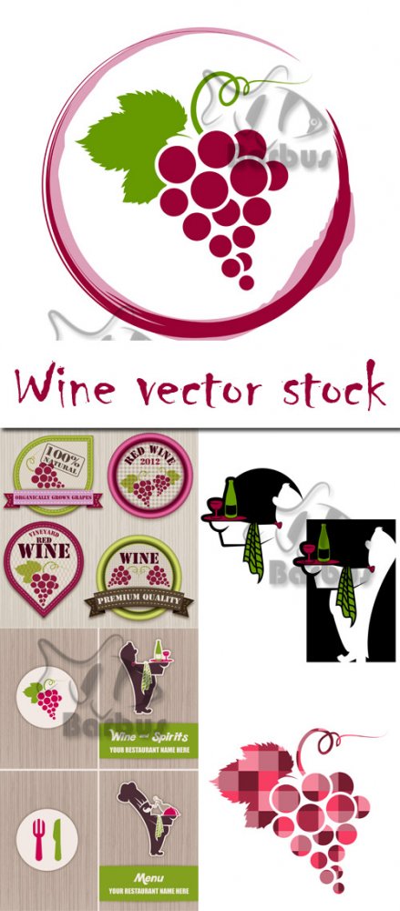Wine vector stock / Винный сток