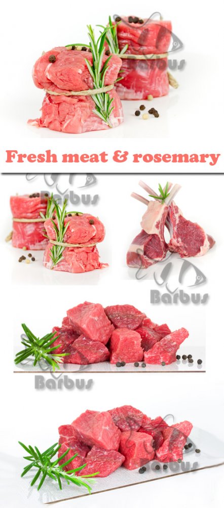 Fresh meat and rosemary / Свежее мясо и розмарин  - Photo stock