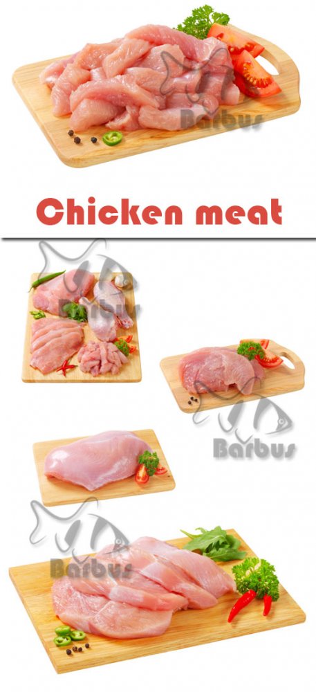 Chicken meat / Куриное мясо - Photo stock
