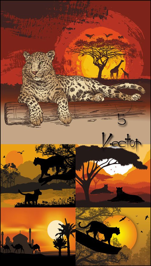 Животные на фоне заката, леопард, жираф, верблюд - векторный клипарт 