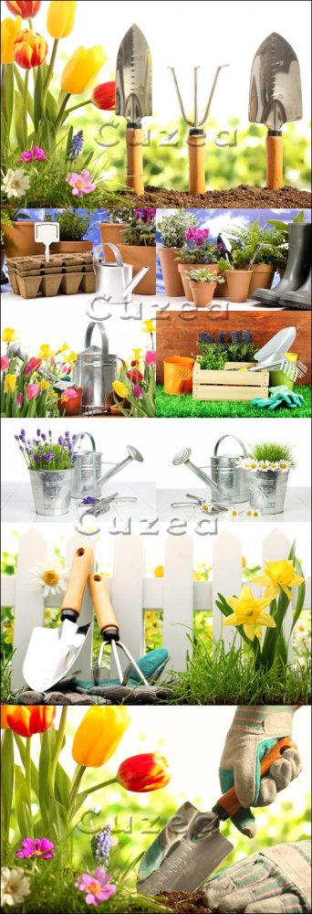 Садоводство/ Gardening - Stock photo