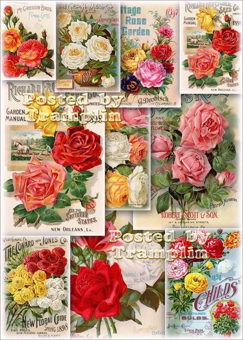 Картинки для декупажа - Винтажные букеты из роз
