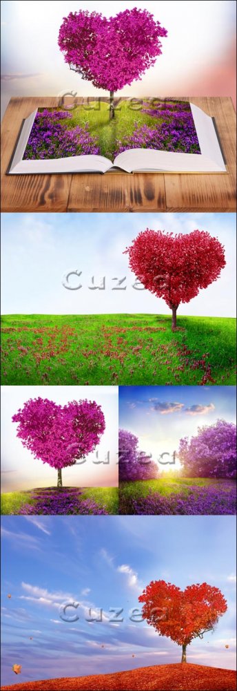 Дерево любви/ Tree of love - Stock photo