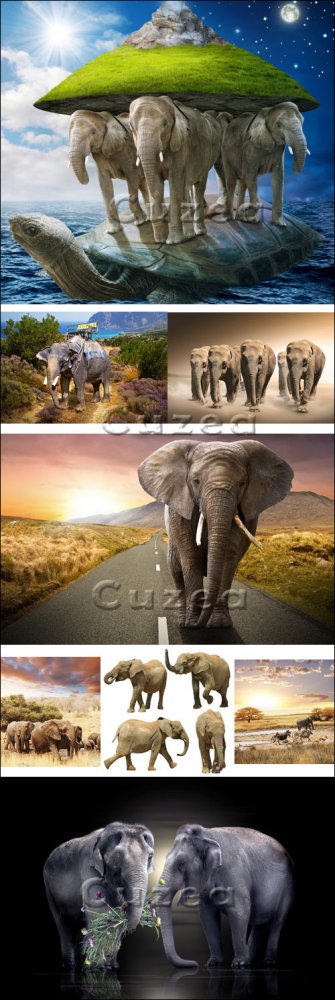 Африканские слоны на фоне природы/ Elephants on nature  background - Stock photo