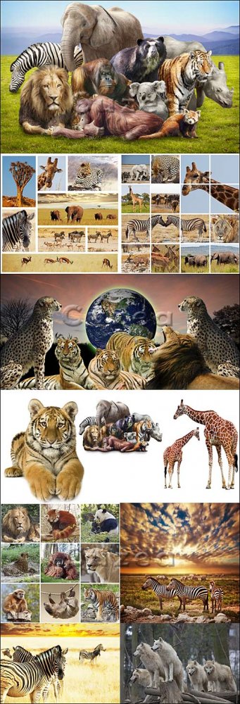 Большая коллекция  различных животных/ Animals collections - Stock photo