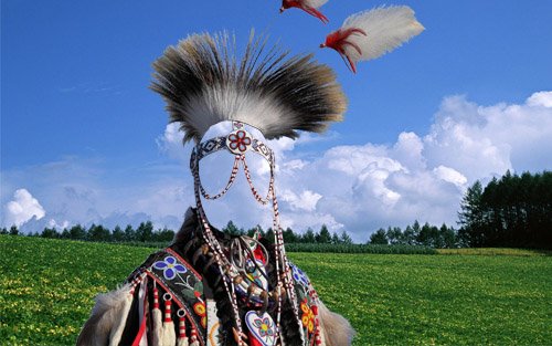  Шаблон мужской - В наряде вождя индейцев 