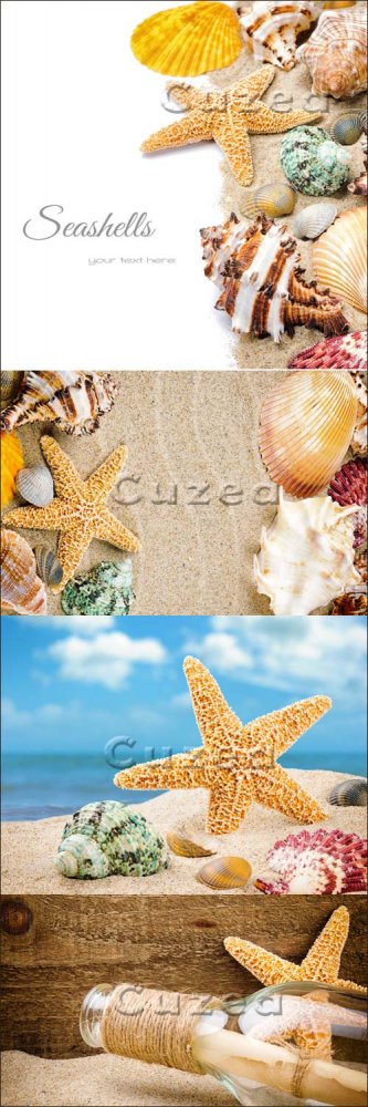 Фоны с ракушками и морской звездой/ Summer background - Stock photo