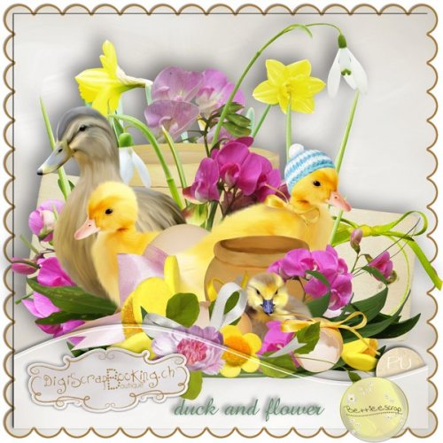 Скрап-набор Duck and flower