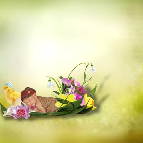 Скрап-набор Duck and flower
