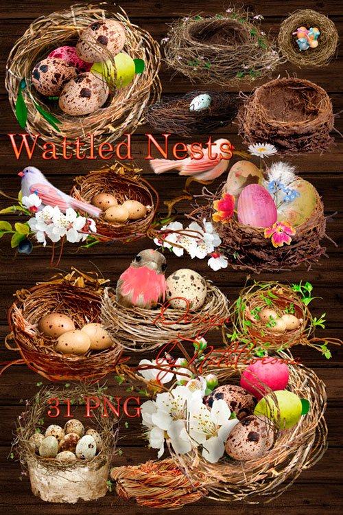 Клипарты в PNG  к празднику – Плетеные гнезда