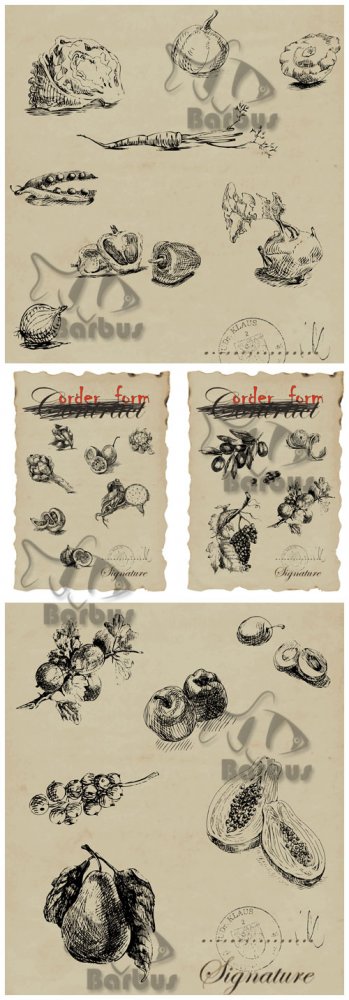 Fruits and vegetable hand drawing vector / Фрукты и овощи нарисованные от руки