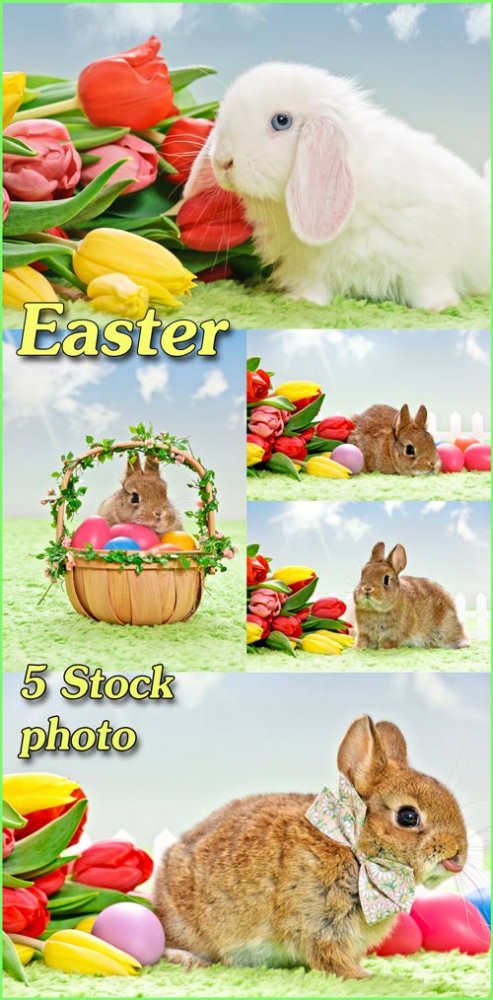 Кролики, пасхальная корзина с яйцами, тюльпаны - растровый клипарт 