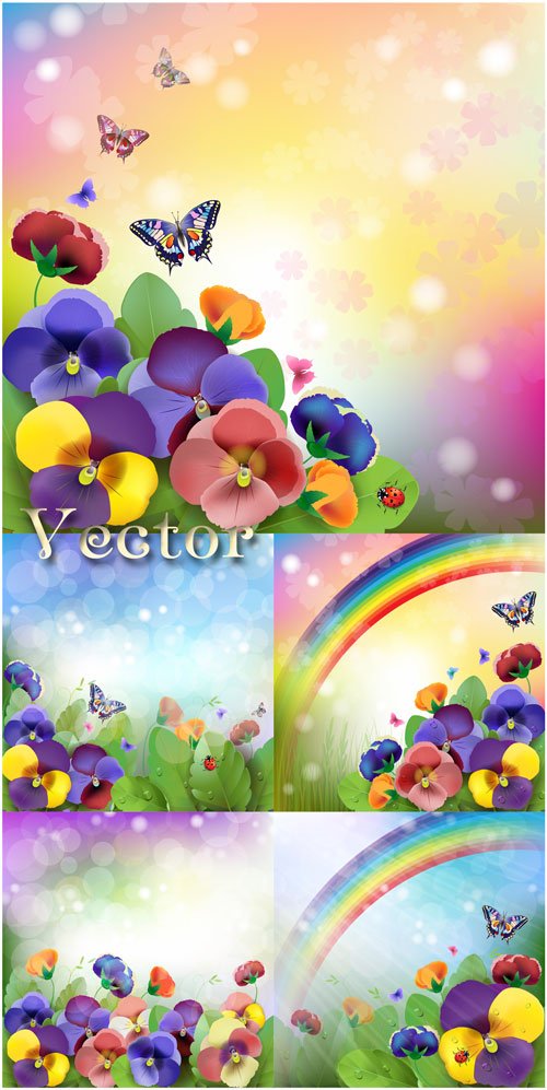 Векторные фоны с цветами, фиалки, бабочки, радуга