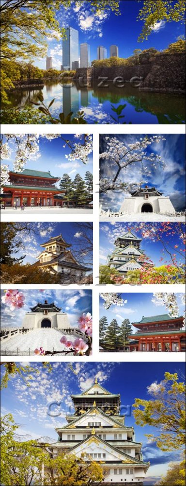 Пейзажи Осаки и цветущая сакура/ Osaka castle and sakura for adv or others purpose use - Stock photo